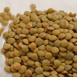 Green Lentils