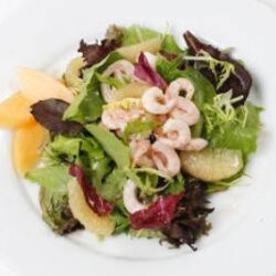 Shrimp Salad with Grapefruit Vinaigrette