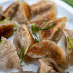 Pork and Cabbage Gyoza (potstickers)