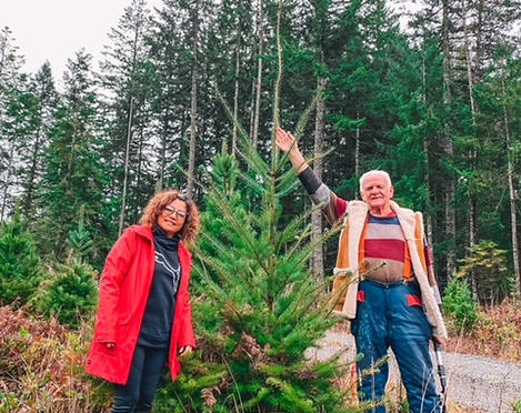 Go Go’s Christmas Tree Farm