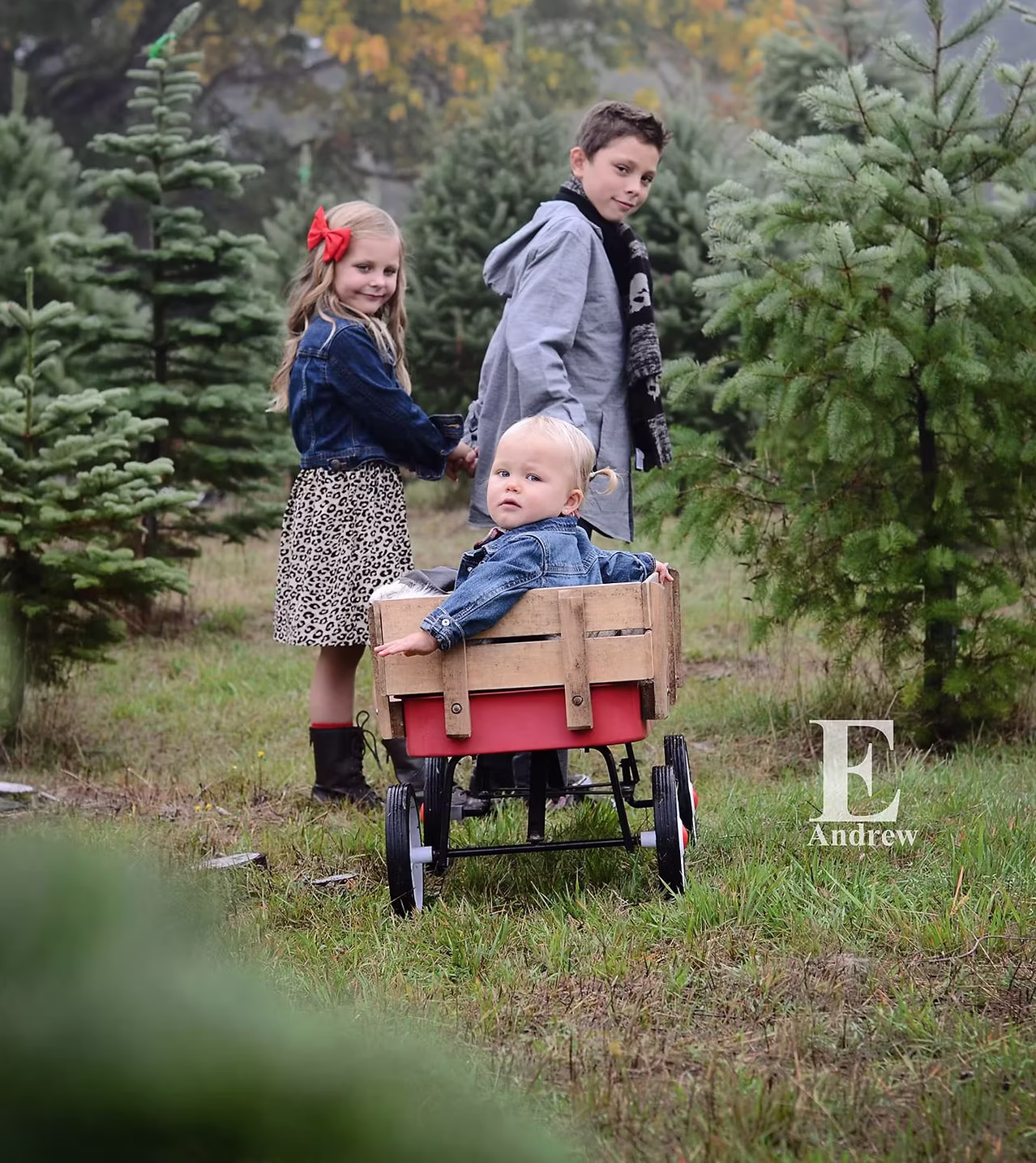 Go Go’s Christmas Tree Farm logo
