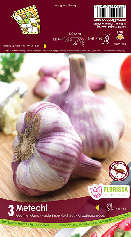 Assorted Garlic Bulbs