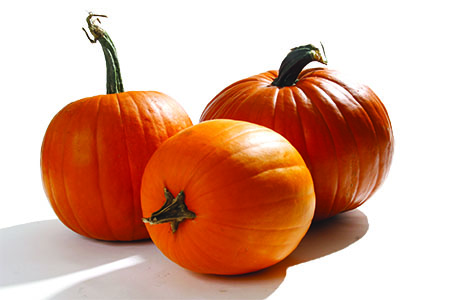Mini & Pie Pumpkins